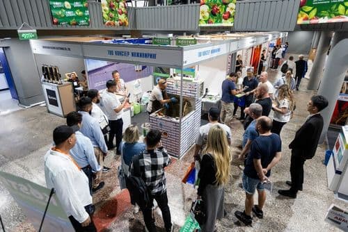 Галерея Iteca