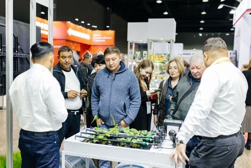 Галерея Iteca