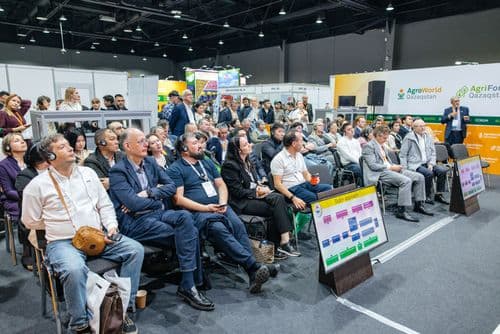 Галерея Iteca