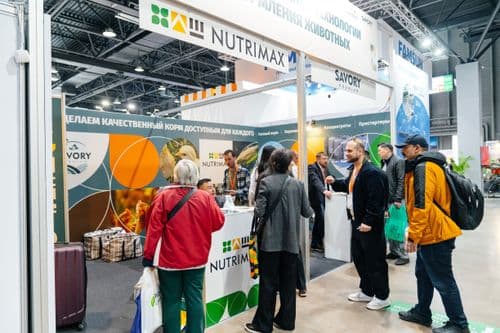 Галерея Iteca