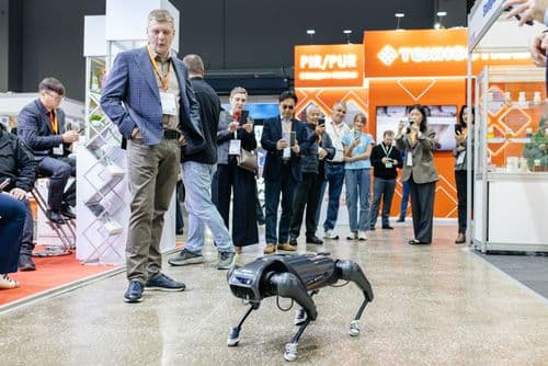 Галерея Iteca