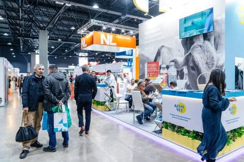 Галерея Iteca