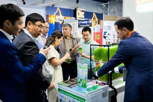 Галерея Iteca